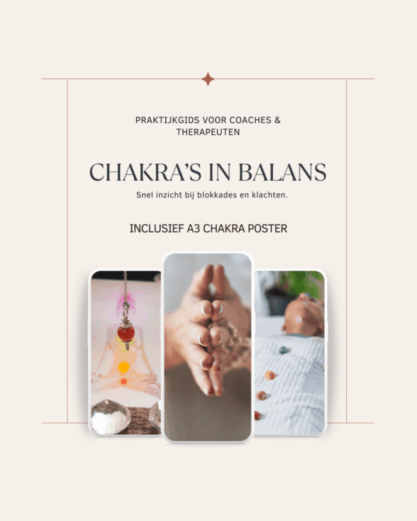 Chakra's in balans praktijkgids incl. A3 poster