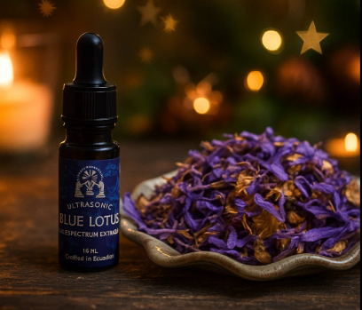 Blauwe Lotus Duo Bundel