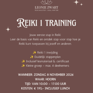 Reiki niveau 1 training zondag 8 november 2026